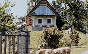 Ferienhaus am HerbstHof